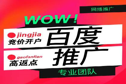 解析SEM托管公司经典案例：如何制定有效的广告策略